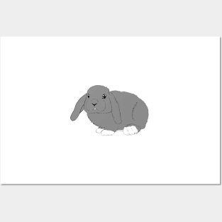 Lop rabbit black gray white Posters and Art